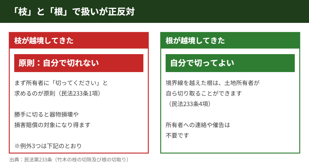 越境した枝と根で扱いが違う民法233条の解説｜解体Do！