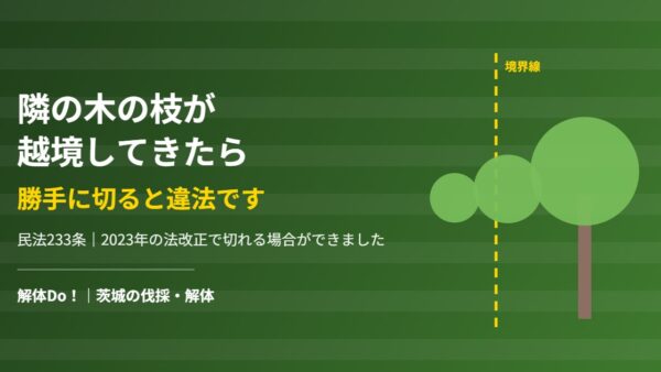 越境した枝は勝手に切れない｜切ってよい3つの場合