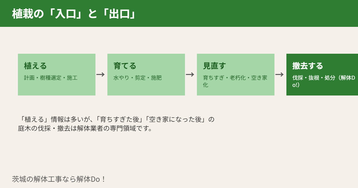 植栽 茨城県 育てる撤去する流れ図
