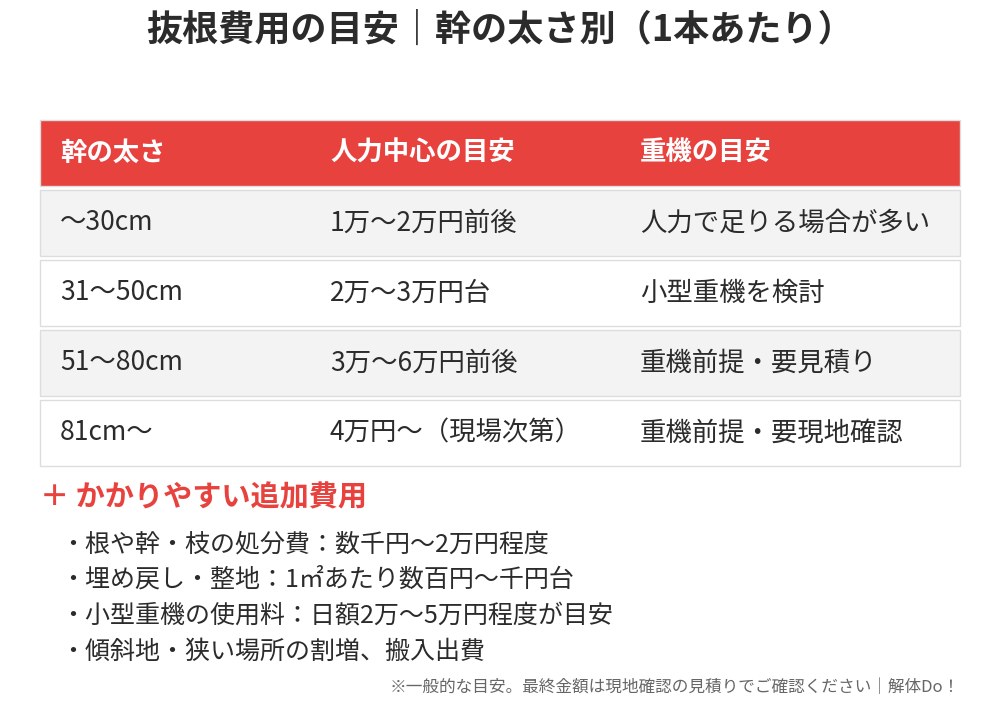抜根費用の目安｜幹の太さ別の相場表｜茨城県 解体Do！