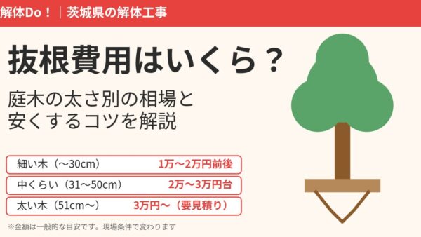 抜根費用はいくら？庭木の太さ別の相場と安くするコツ【茨城県】