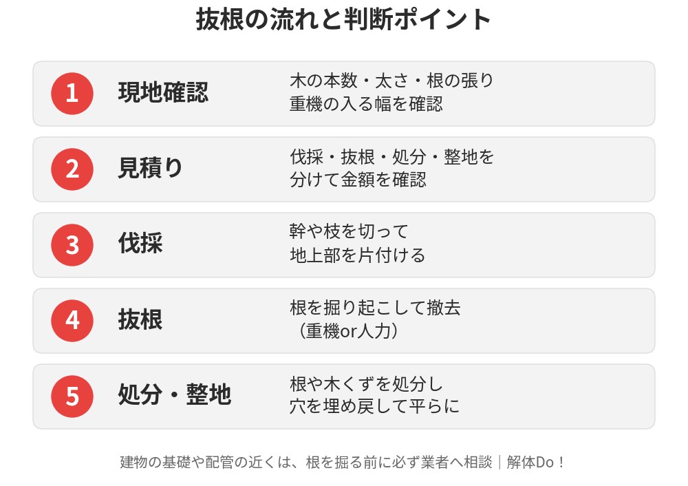 抜根の流れと判断ポイント（現地確認から整地まで）｜茨城県 解体Do！